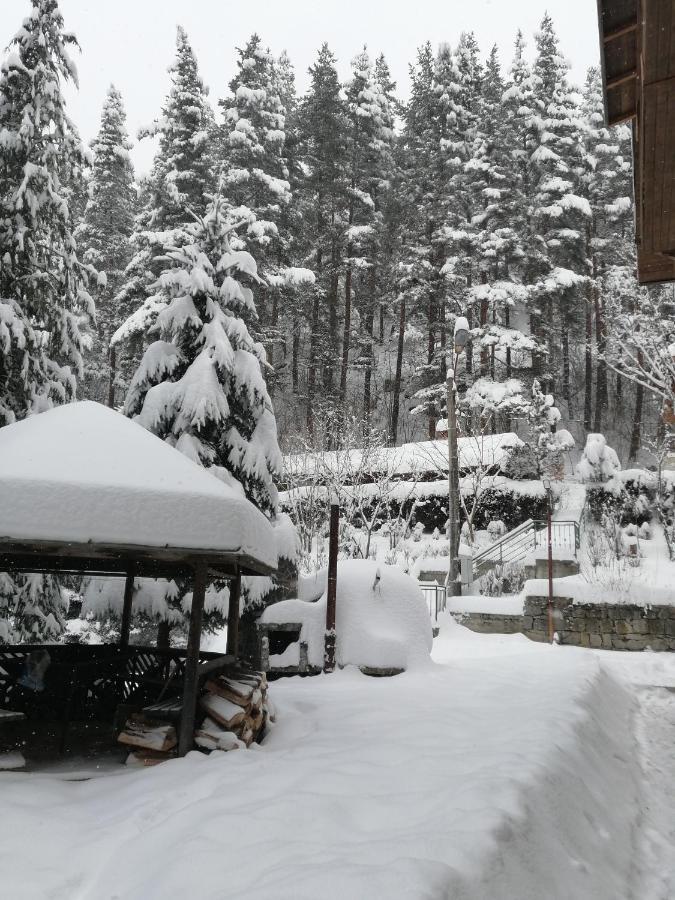 Вила Добро Поле Blagoevgrad Exterior foto